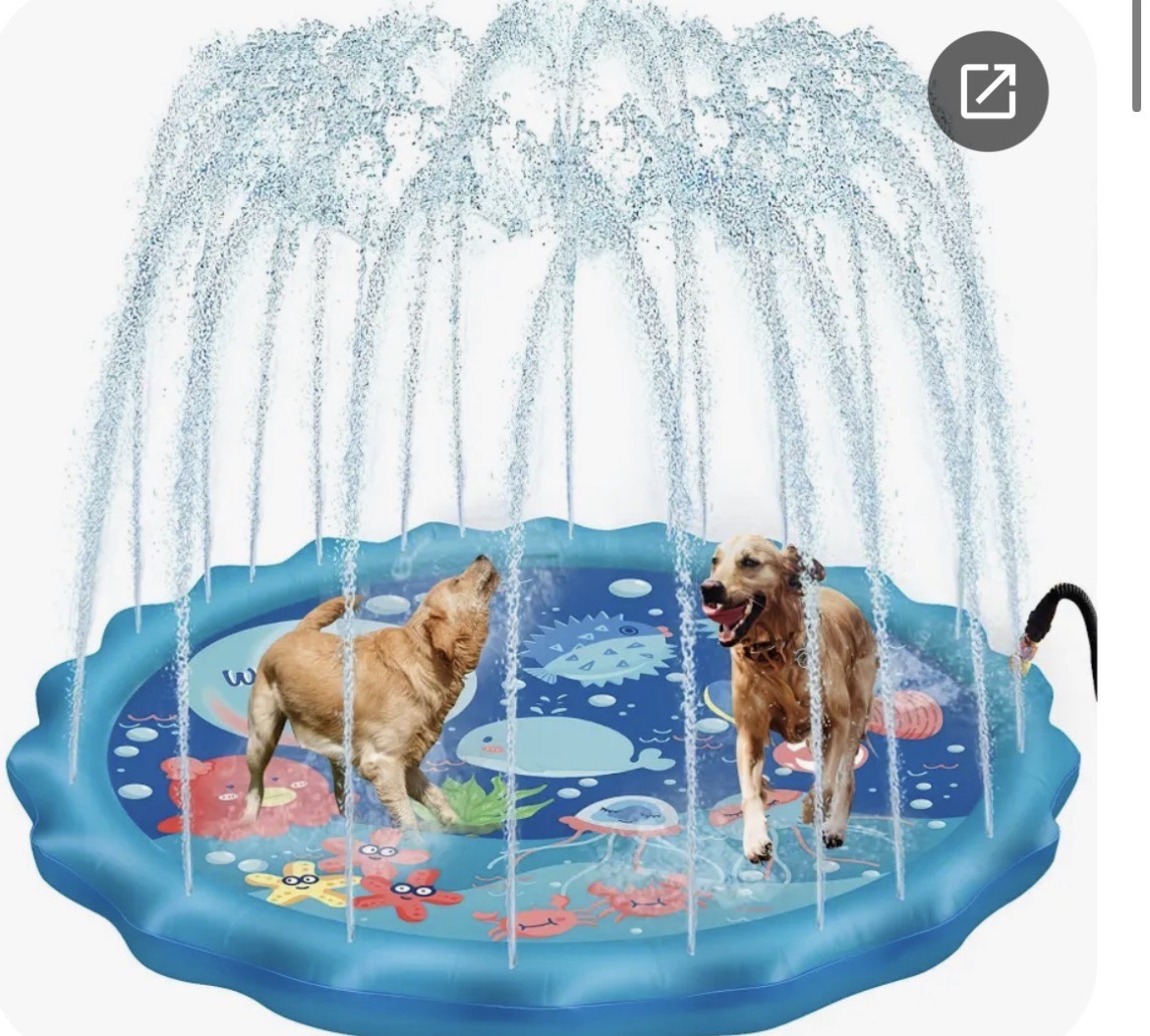 PISCINA PILETA PARA MASCOTA