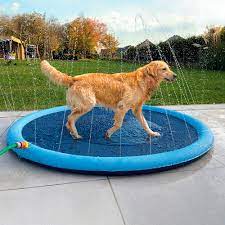 PISCINA PILETA PARA MASCOTA